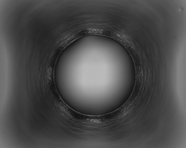 X0000086960649200705071337
