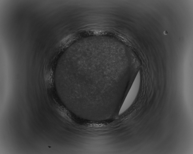 X0000086960650200705071337