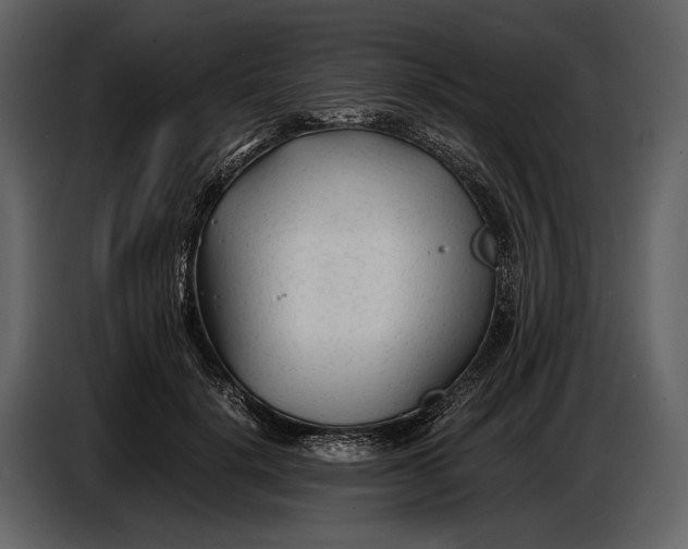 X0000086960652200705071337