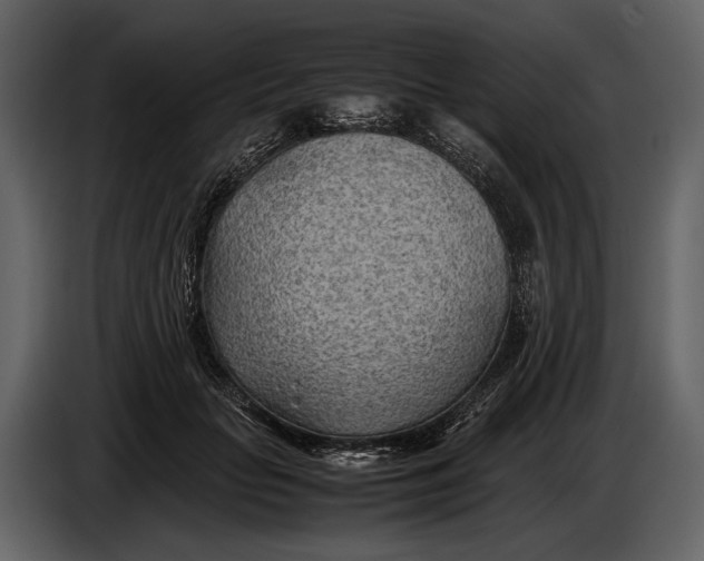 X0000086960653200705071337