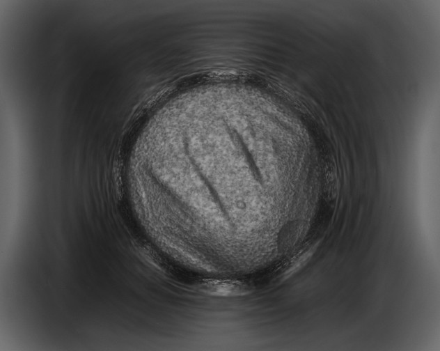 X0000086960654200705071337