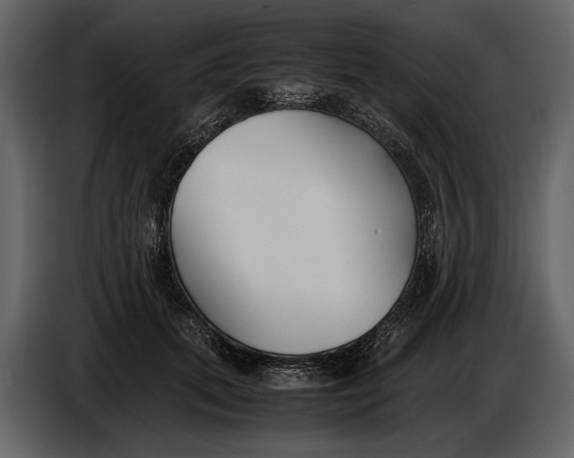 X0000086960655200705071337