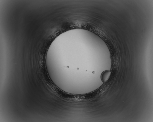 X0000086960656200705071337
