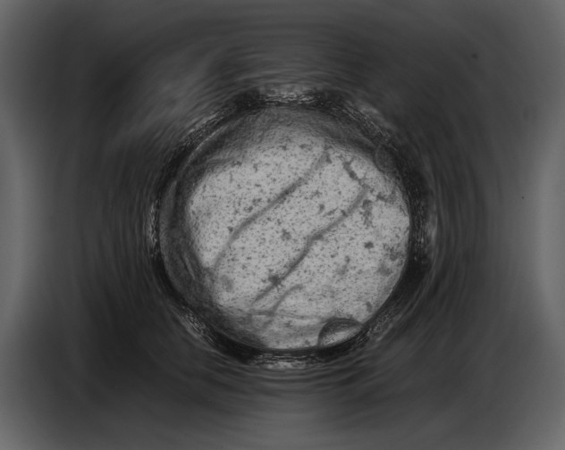 X0000086960658200705071337