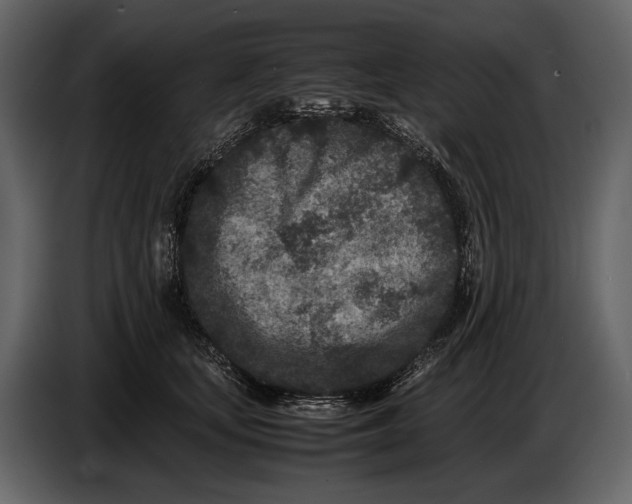 X0000086960659200705071337