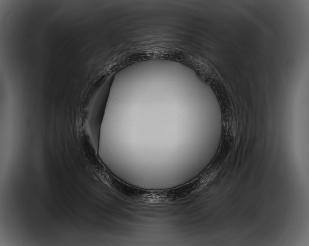 X0000086960660200705071337