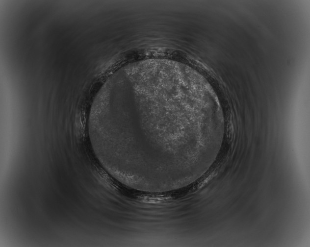 X0000086960661200705071337