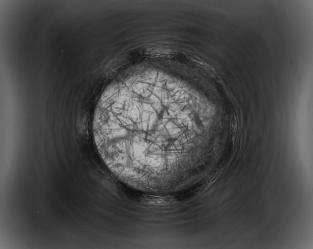 X0000086960663200705071337