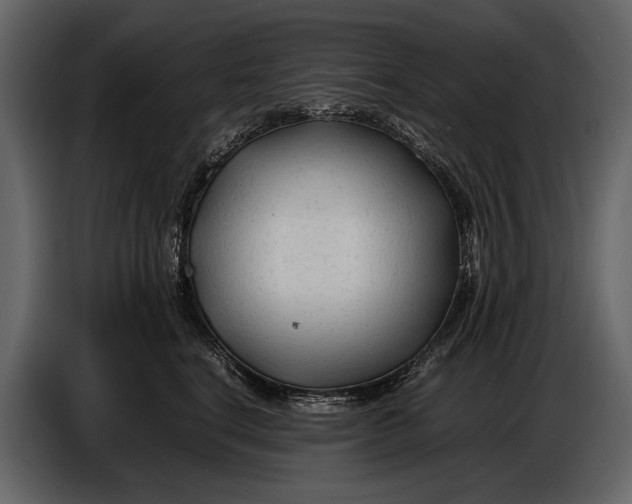 X0000086960664200705071337