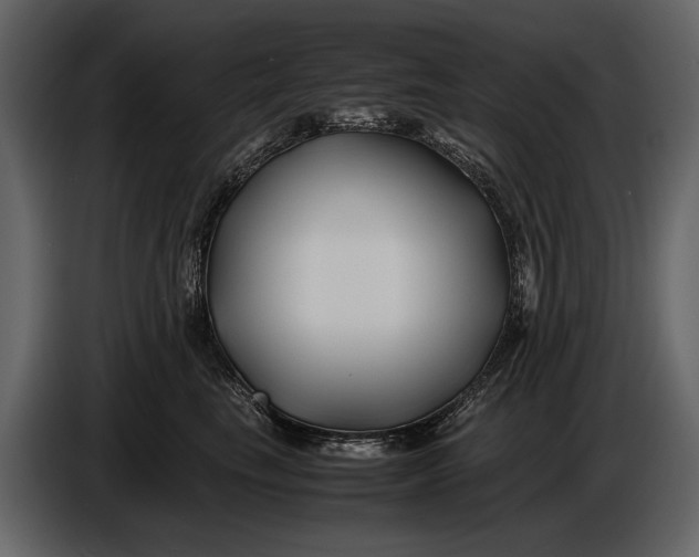 X0000086960665200705071337
