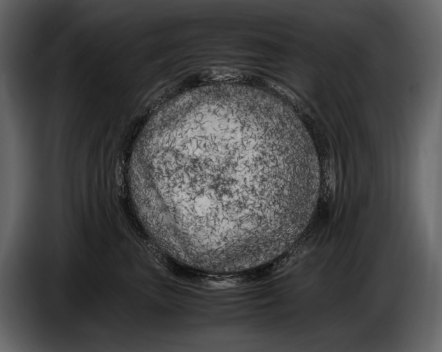X0000086960667200705071337
