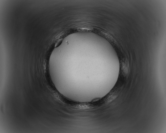 X0000086960668200705071337