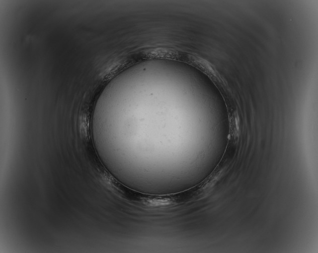 X0000086960669200705071337