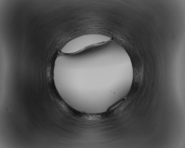 X0000086960670200705071337