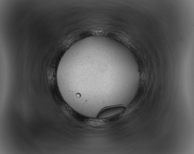 X0000086960671200705071337