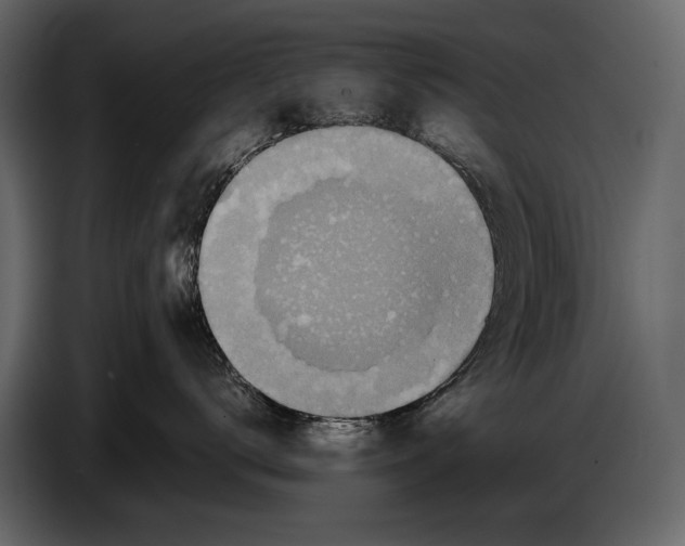 X0000086960672200705071337