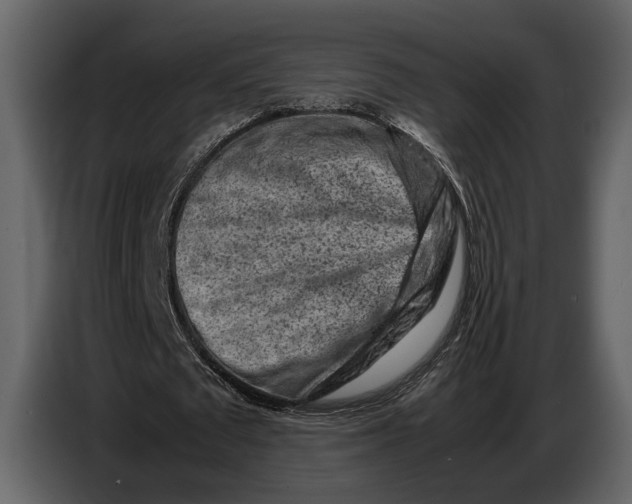 X0000086960673200705071336