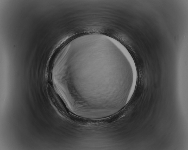 X0000086960674200705071336