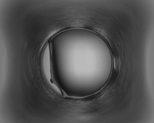 X0000086960675200705071336