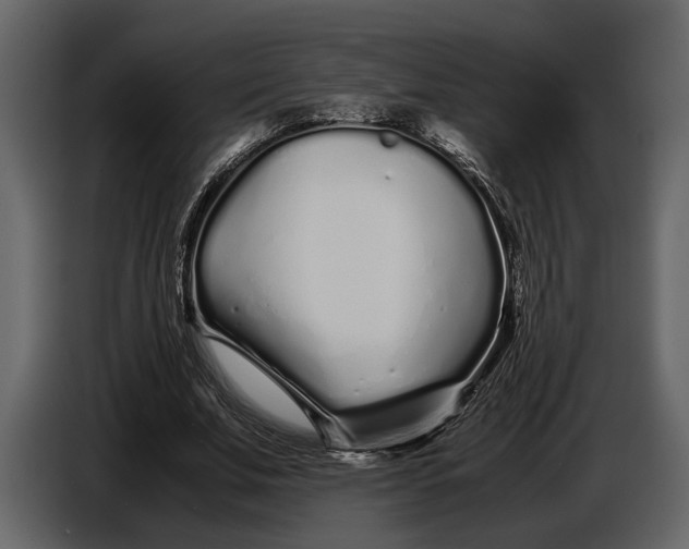 X0000086960679200705071336