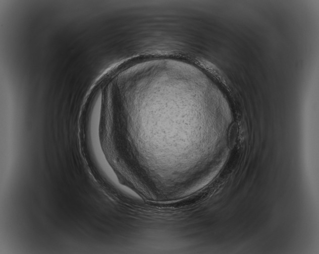 X0000086960680200705071336