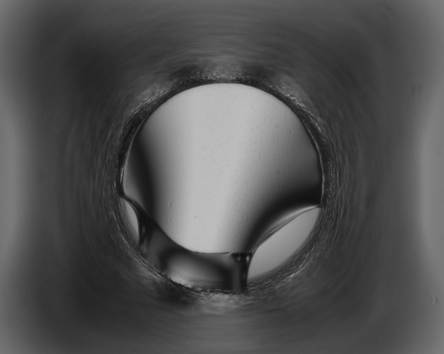 X0000086960681200705071336