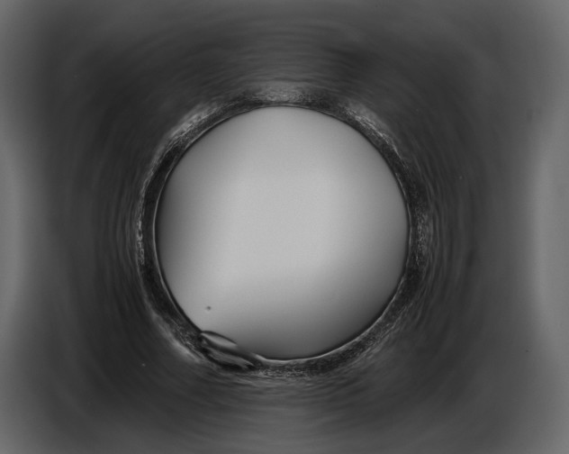 X0000086960682200705071336