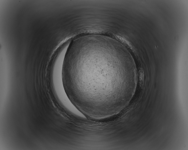 X0000086960684200705071336