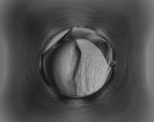X0000086960685200705071336
