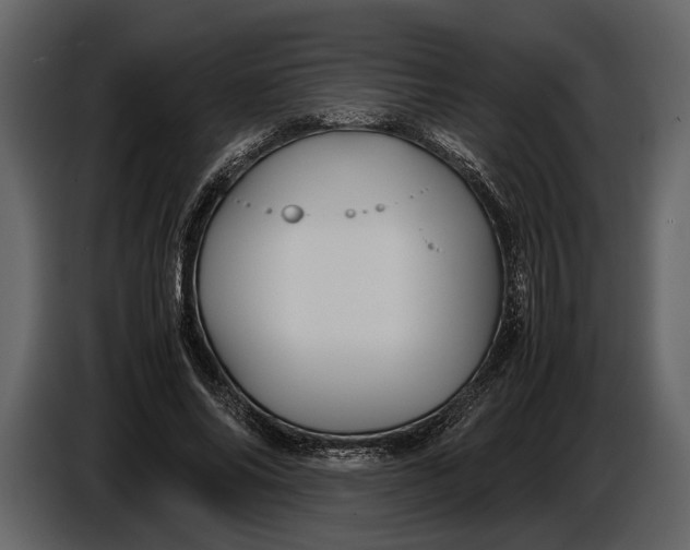 X0000086960686200705071336