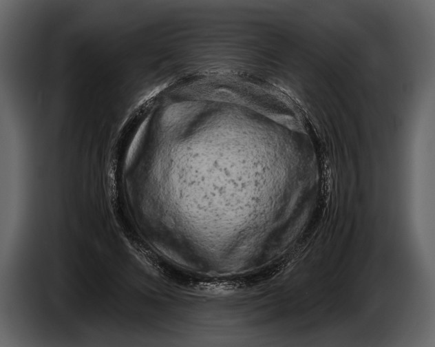 X0000086960688200705071336