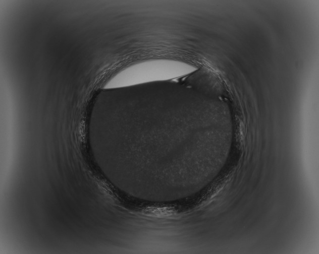 X0000086960689200705071336