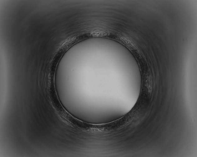 X0000086960690200705071336