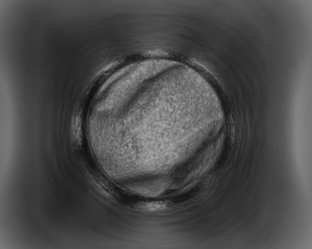 X0000086960692200705071336