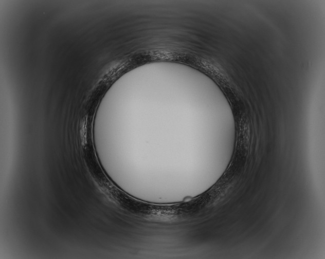 X0000086960694200705071336