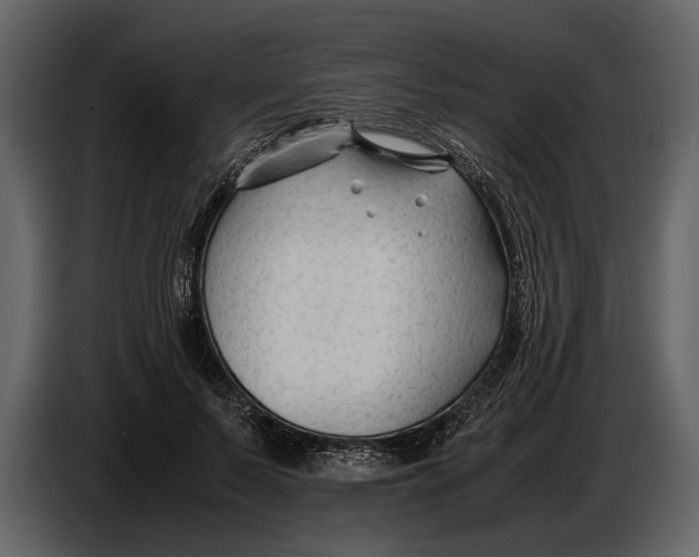 X0000086960695200705071336