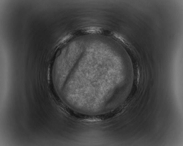 X0000086960696200705071336