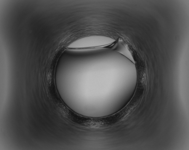 X0000086960697200705071336