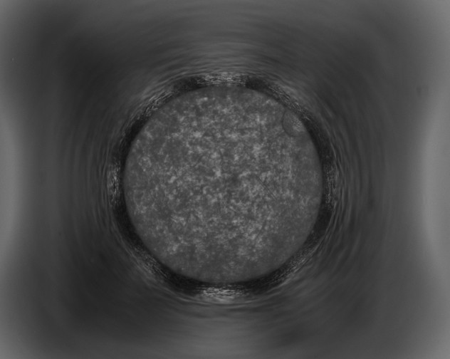 X0000086960699200705071336