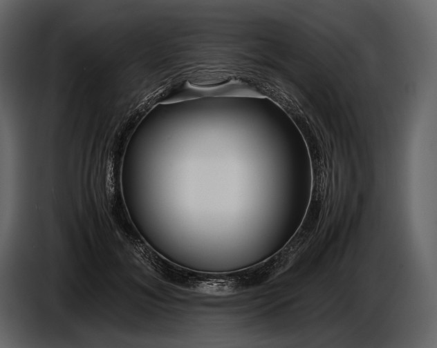 X0000086960700200705071336