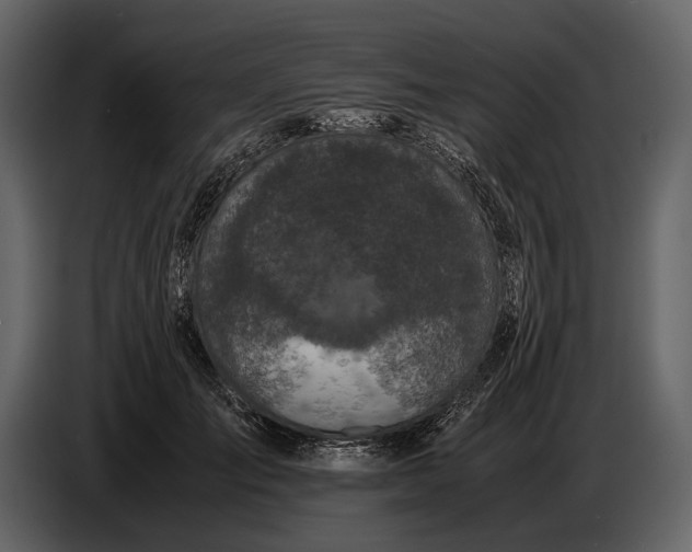 X0000086960701200705071336