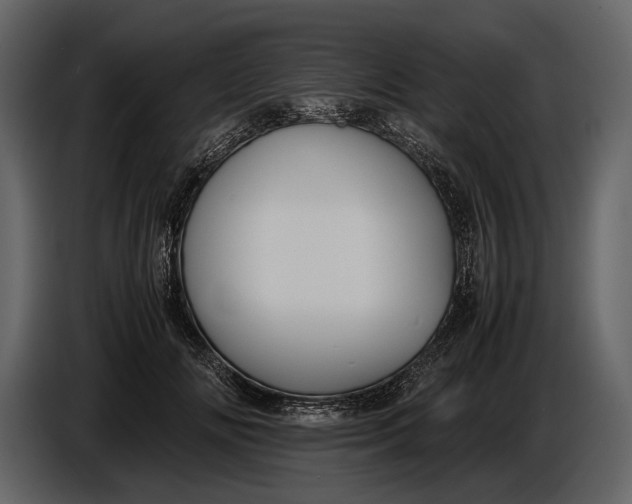 X0000086960702200705071336