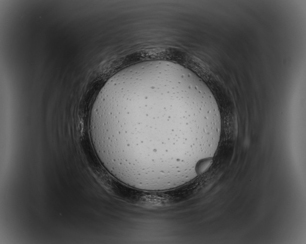 X0000086960703200705071336