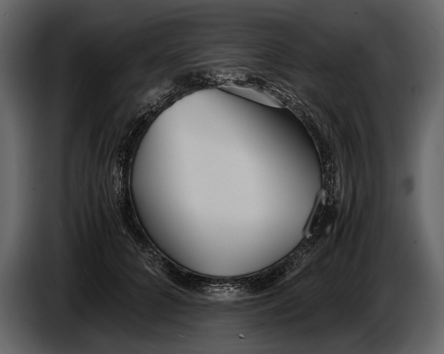 X0000086960704200705071336