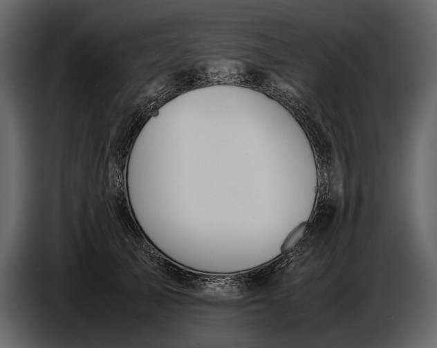 X0000086960705200705071336