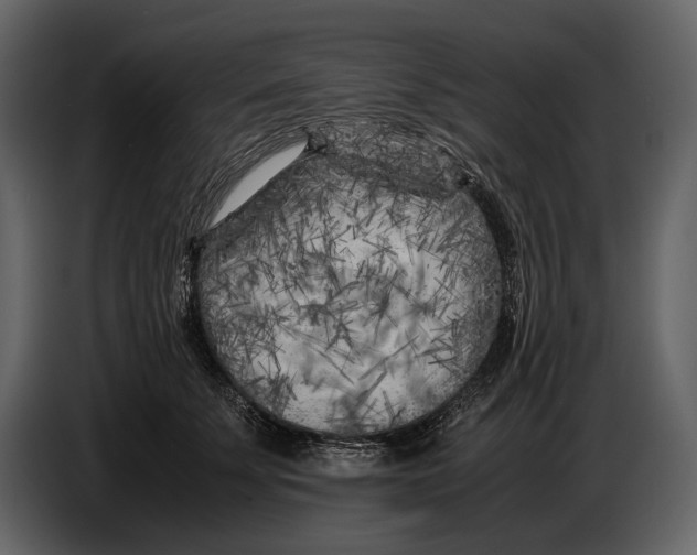 X0000086960707200705071336