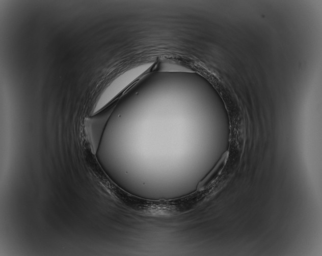 X0000086960708200705071336