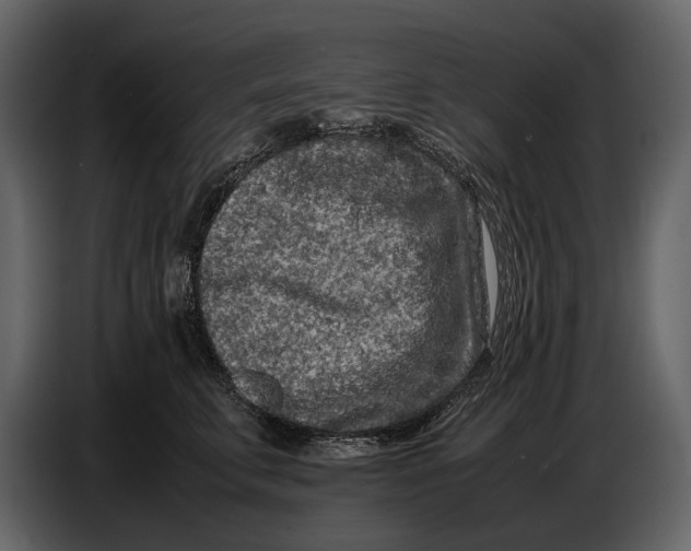 X0000086960711200705071336