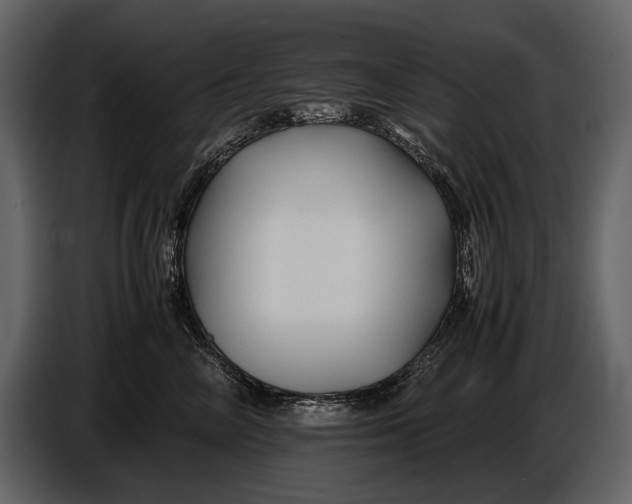 X0000086960714200705071336