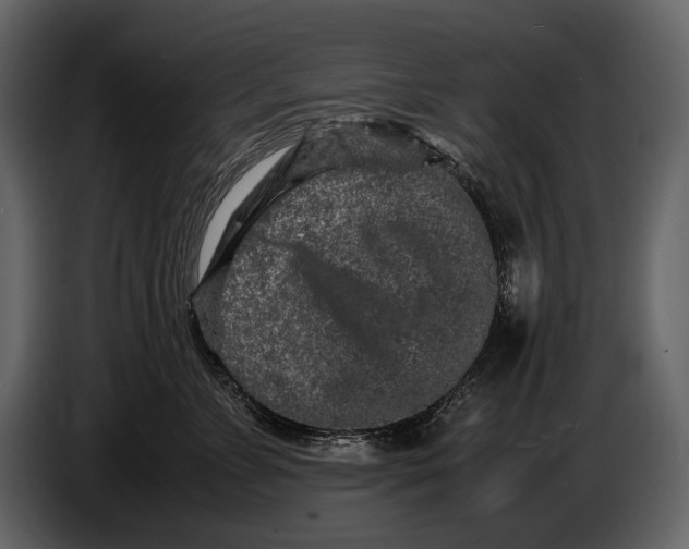 X0000086960715200705071336